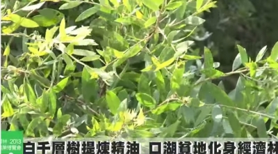 未命名-1
